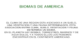 Biomas de america