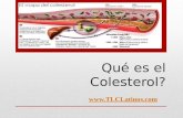 Qué es el Colesterol?