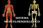 1 Generalidades Osteo-Artro- Miología