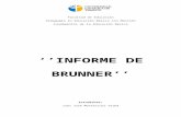 Informe de Brunner