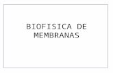 Biofisica de Membranas