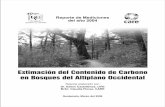 Informe de Carbono I 2004