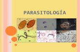 Parasitologia Historia Definicion