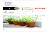 10 Plantas Medicinales c... Casa _ Diario Ecologia
