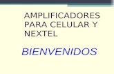 Amplificadores Para Celular y Nextel 1 Dia (1)