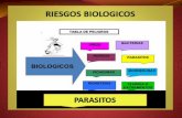 Riesgo Biologico Parasitosis