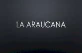 La Araucana
