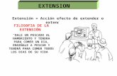 Definicion Extension