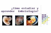Embriologia y Su Tecnica