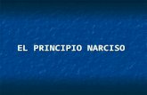 El Principio Narciso
