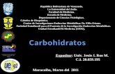 Carbohidratos - Cursode Bioquimica_Jess Roo.