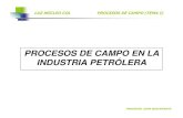 PROCESOS DE CAMPO TEMA I (1.pdf