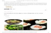 Los Beneficios de Las Algas y Cómo Integrarlas en Tu Cocina - BBC Mundo