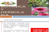 16.- Botanica y Herbolaria