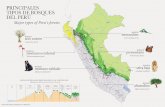 Los principales tipos de bosques del Perú