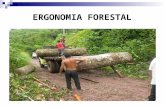 Ergonomia Forestal
