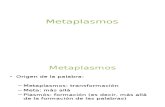 Metaplasmos y Mas