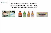 3265248 Efectos Del Alcohol en El Organismo