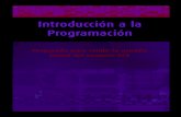 Introduccion a La Programacion 2005