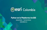 Python en La Plataforma ArcGIS