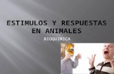 Estimulos y Respuestas en Animales