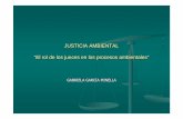 11c_ggarciaminella justicia ambiental