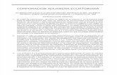 Acuerdo para METODOS DE VALORACION.pdf
