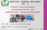 Flora bacteriana en Hospitales