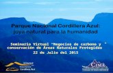 Seminario Virtual “Negocios de carbono y conservación de Áreas Naturales Protegidas” 22 de Julio del 2015