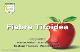 Disertacion Fiebre Tifoidea