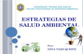 Estartegias De4 Salud Ambiental