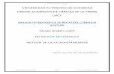 Reporte Final P.metamorfica Ulises Salinas Ocampo - Copia.docx