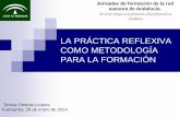 _La Práctica Reflexiva Como Metodología Para La Formación