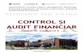 Suport Curs Control Si Audit