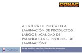 Apertura de Punta en la Laminación de Productos Largos - Calidad de Palanquilla o Proceso de Laminación