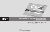 solucion problemas 6º conchita lasaosa.pdf