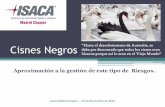 Cisnes Negros - Maite Avelino