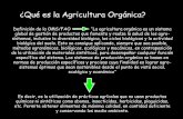 Que Es La Agricultura Orgánica