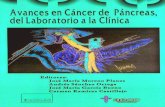 Avances en El Cancer de Pancreas