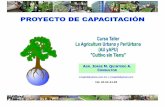 PROYECTO Agricultura Urbana Agr. Jorge Quintero_doc