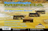 Revista Tecnologia Minera 41