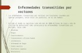 Enfermedades transmitidas por vectores.pptx
