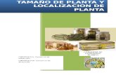 INFORME FINAL DISEÑO DE PLANTAS LYAM.docx
