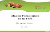 Mapeoyu Tecnologico de Tara
