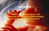 Uso de matriz BABIES - muerte perinatal