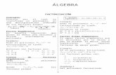 algebra  (06-02-07)