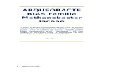 ARQUEOBACTERIAS Familia Methanobacteriaceae.docx