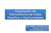 Foro Energia Siglo XXI - UNIMET 2015 - Explotación Lutitas - Diego González