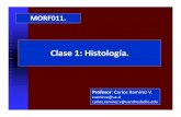 Clase 1 Histologia Para Morf