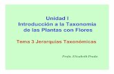Taxonomia, Unidad I.3